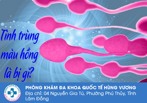 Tinh trùng màu hồng là bị gì?