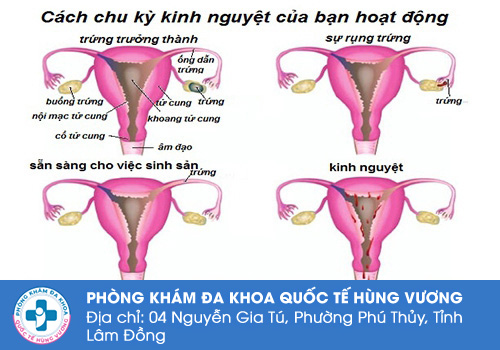 Trễ kinh bao nhiêu ngày là bình thường?