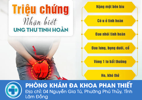 Bệnh tinh hoàn -  Khối u và ung thư tinh hoàn