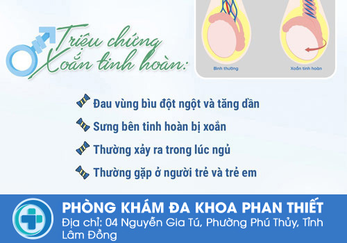 Bệnh tinh hoàn - Xoắn tinh hoàn
