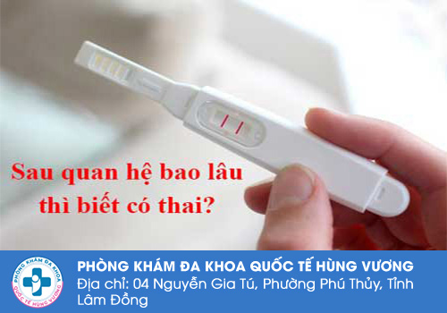 Sau quan hệ tình dục bao lâu thì sẽ có thai?