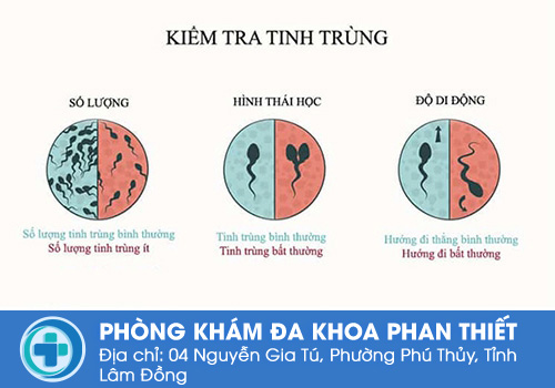 Thế nào là tinh trùng yếu?
