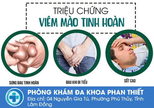 Bệnh tinh hoàn -  Viêm tinh hoàn, viêm mào tinh hoàn